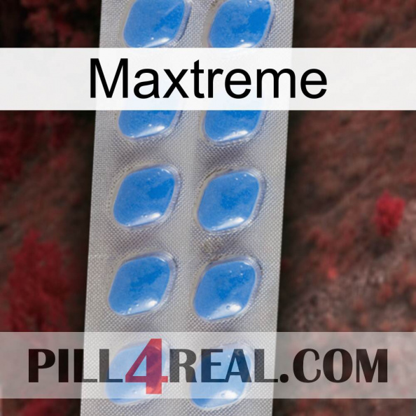 Maxtreme 22.jpg